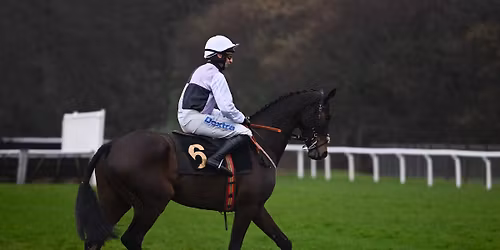 PricedUp Christmas Cup Raceday