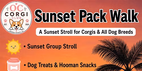 Sunset Pack Walk - Huntington Dog Beach