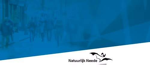 Open bedrijvendag 2026