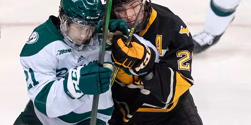 Lake Superior State Lakers at Bemidji State Beavers Mens Hockey