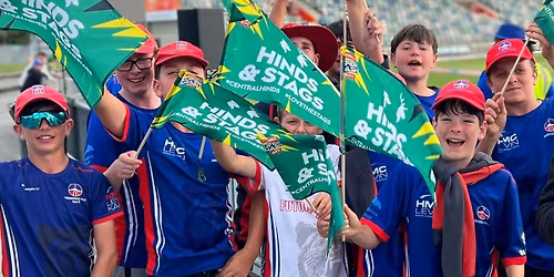 Super Smash T20 - Stags and Hinds in Napier