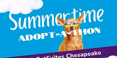Summertime Adopt-A-Thon