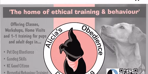 Beginners course