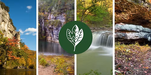 Plant Prowl with Professional Botanist Eric Sundell