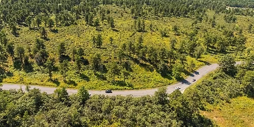 Why did they do that? Restoring Health to our Globally Rare Inland Pine Barrens