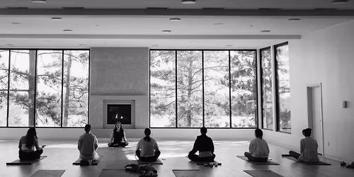 Revive & Restore: Yoga at Nature Link