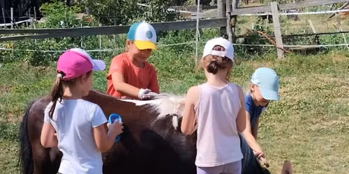 Lovas k\u00e9zm\u0171ves t\u00e1bor 