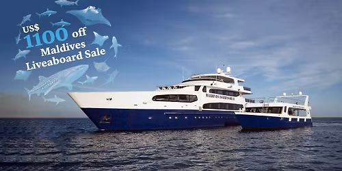 !US$1100 Discount! Liveaboard Group: AGGRESSOR Diving Best of MALDIVES 