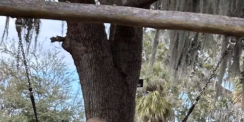 Fun Friday Park Trip! 