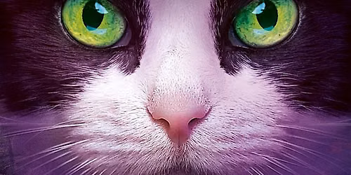 FBM26 \u2013 Signierstunde Erin Hunter live!