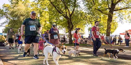 Doggie Dash - Portland 