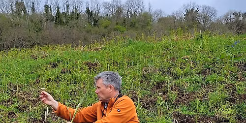 Introduction to Rewilding - Mapperton Wildlands