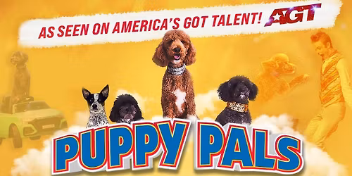 Puppy Pals Live in Indianapolis, IN area (Greenwood)