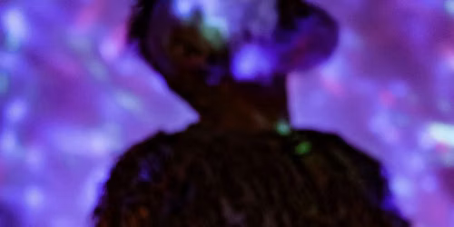 Small Alien's Ceremony of Gratitude
