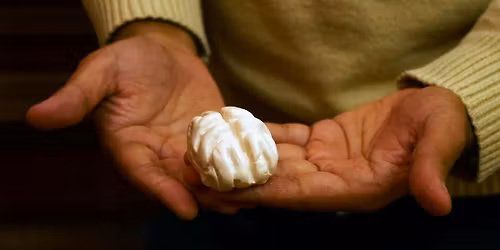 Arbor Artist and Researcher Collaboration Showcase