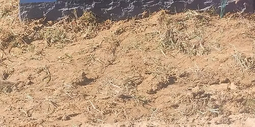 customer satisfaction offsite