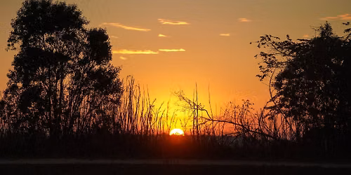 Everglades Half Marathon