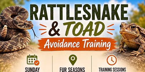 Rattlesnake and Toad Avoidance training