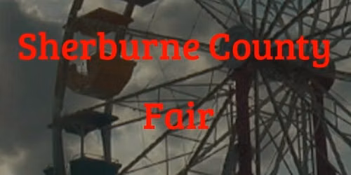 Volunteer with SD27\/30 DFL for the Sherburne County Fair