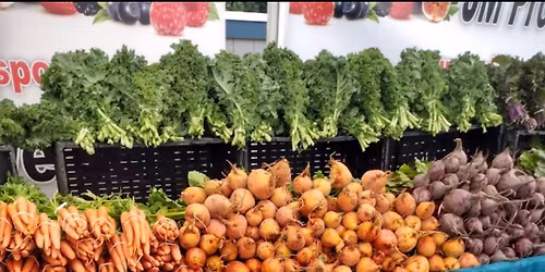 Let\u2019s Sketch Orange Farmers' Market