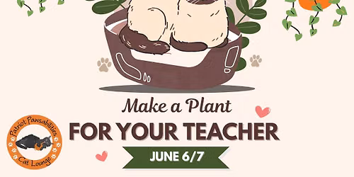 Make a Plant for Your Teacher