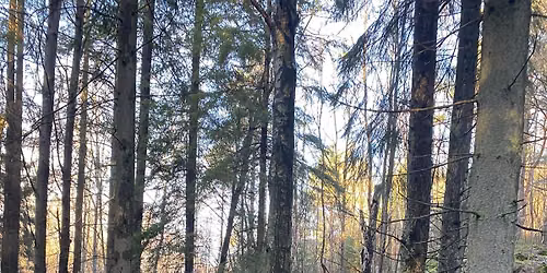Provl\u00f6p 1\/3: K\u00e5llered\u2013Skat\u00e5s (31,2 km)