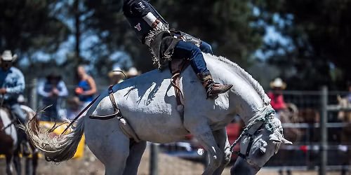 Canterbury Rodeo