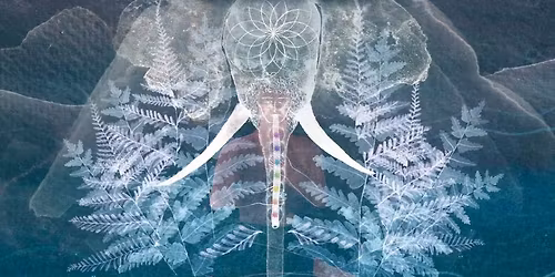 Gooral - Warszawa - Bardzo Bardzo - premiera nowej p\u0142yty \u201eSound Spa\u201d zmiana daty i miejsca