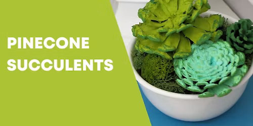 Pinecone Succulents - *REGISTRATION REQUIRED