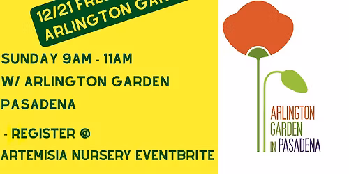 Arlington Garden Third Sundays! Free Native Plant Classes