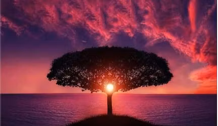 6th Annual Celebration of Trees 1 pm-3 pm ET