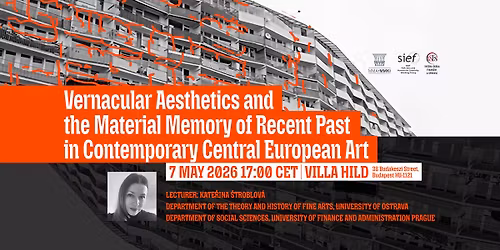 Vernacular Aesthetics and the Material Memory of Recent Past in Contemporary Central European Art