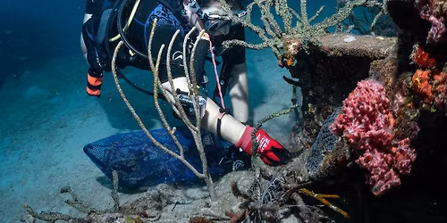 Earth Day Reef Clean Up Dive 