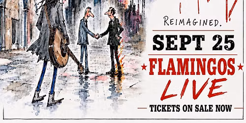Songs Of Pink Floyd Reimagined- Flamingos live
