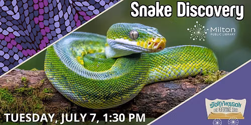 Snake Discovery: Reptiles Around the World - A Storywagon Performance