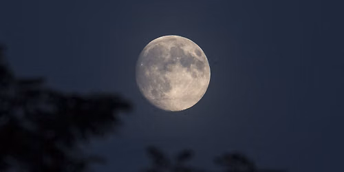 Full Moon Night Hike