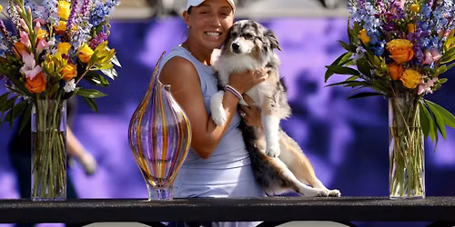 Charleston Open - Session 12 (Quarterfinals)