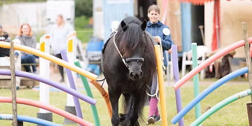 Agility st\u00e6vne p\u00e5 Drejbjergg\u00e5rd