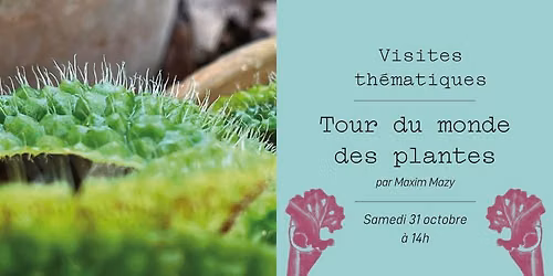 Visite - Tour du monde des plantes