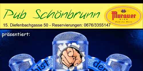 Karaoke im 'PUB SCH\u00d6NBRUNN'