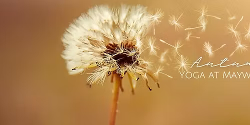 Yoga at Maywood: October Session