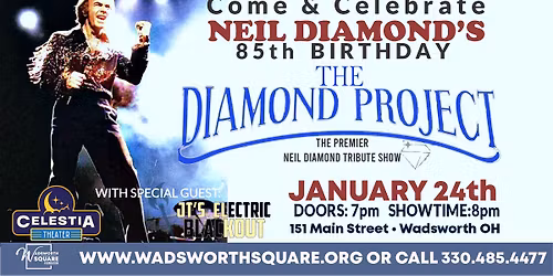 The Diamond Project - NEIL DIAMOND TRIBUTE CONCERT