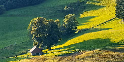 Harmoniser sa maison, se sentir mieux en soi avec Jo\u00eblle Chautems