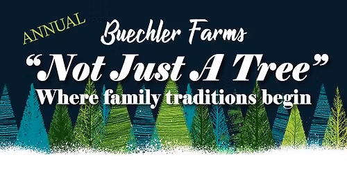 Not Just a Tree at Buechler Farms