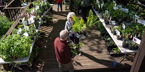 2026 Deer Resistant and Native Plant Sale