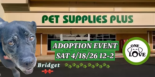 ONE LOVE ANIMAL RESCUE AT PSP 4\/18\/26 12-2