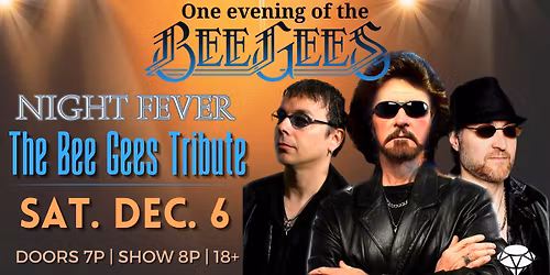 Night Fever - The Bee Gees Tribute