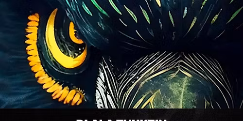 ZAZU Indoor Festival