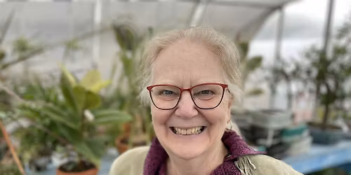 Pots of Possibilities \u2013 Pollinator Power Pots