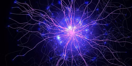 Linking neurophysiological data to cognitive functions